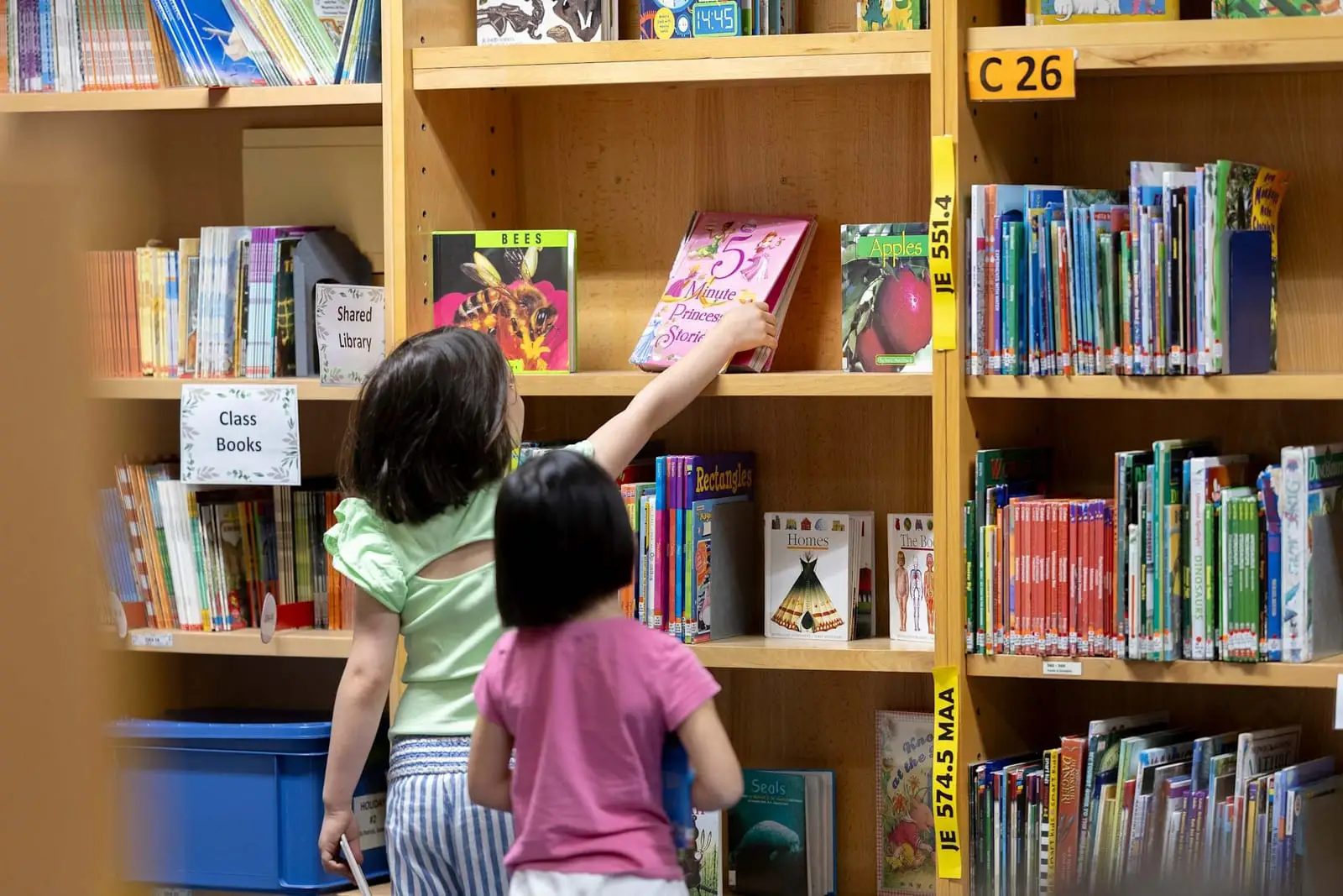 Library at Carlucci American International School of Lisbon, two pupils seen from behind