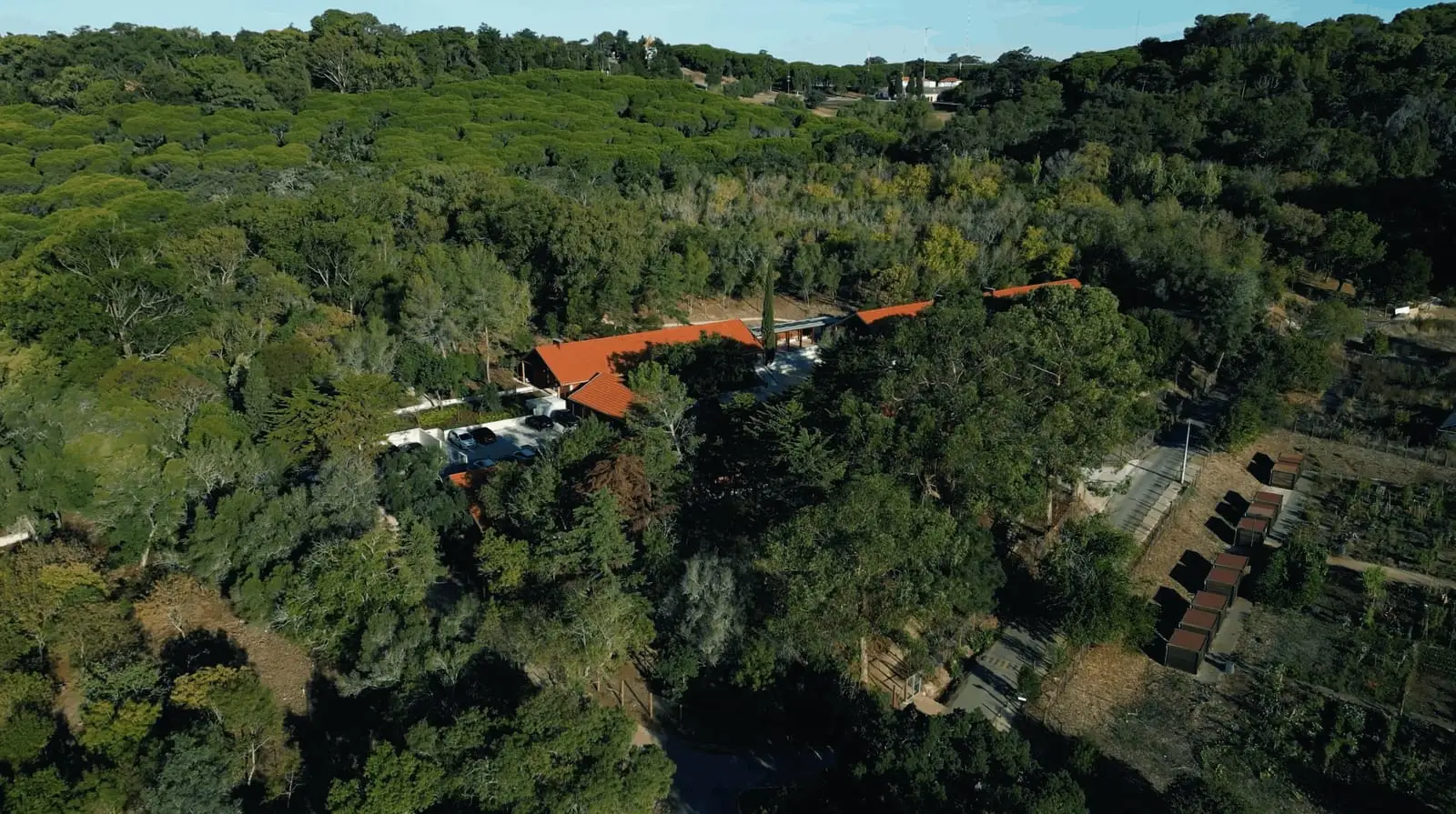 Aerial view of the Redbridge International School campus